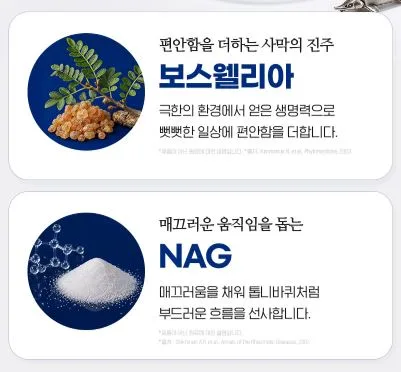 철갑상어 콘드로이친 1200 플러스 MBP 1,000mgX60정