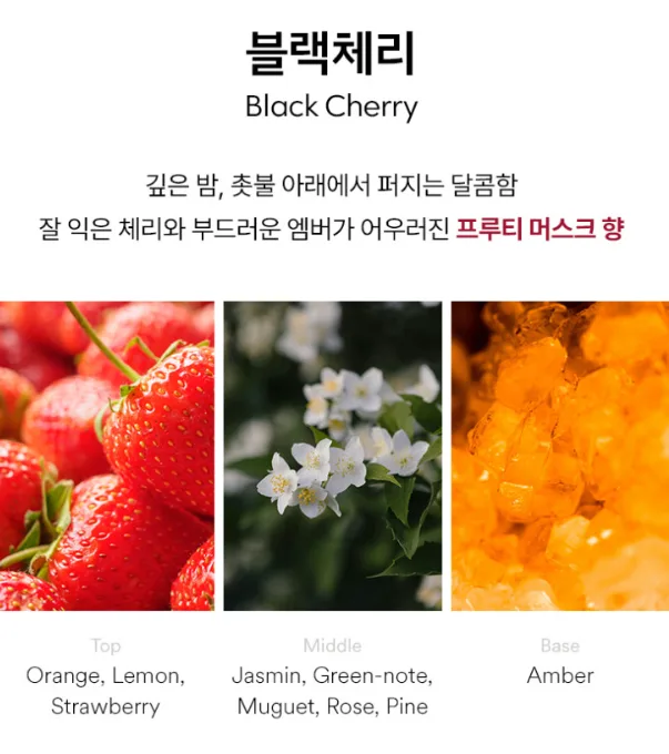 생활공작소 (특수 스틱) 발향력 좋은 디퓨저 200ml X 2개