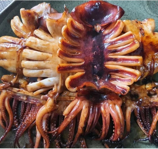 반건조오징어(피데기)