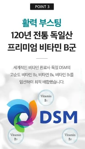 비타민마을 에너지 리셋 부스터 8gX15포