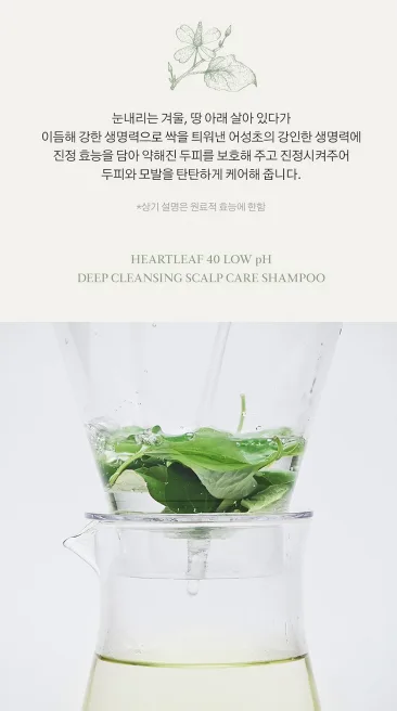 상품코드 : K628 어성초 40 약산성 딥 클렌징 두피케어 샴푸 (카톤발주용)