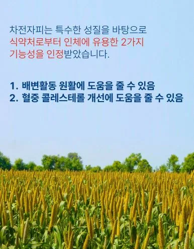 황금구렁이 오리지널 5.1g × 30포