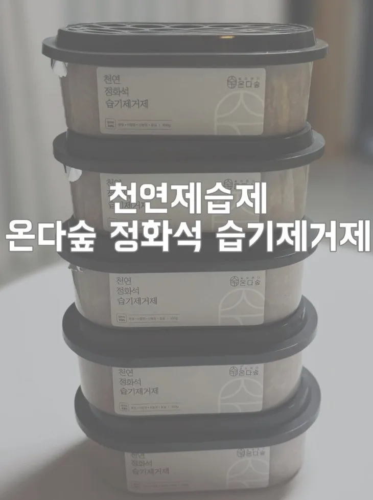 온다숲 국산100% 반영구 천연제습제 300g