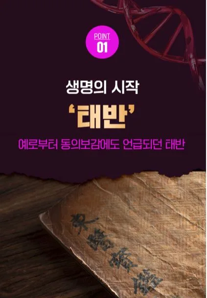네이처드림 황제 양태반 20g*30병