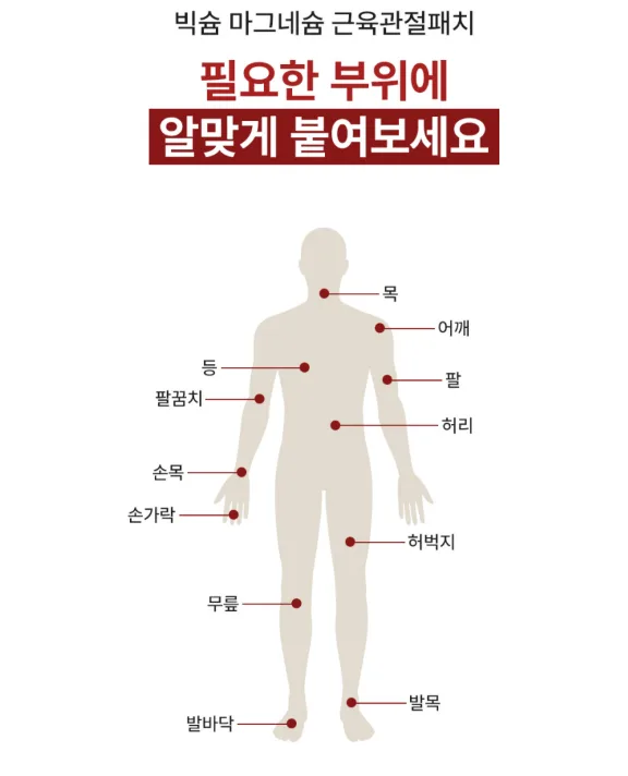 상품코드 : BSH009 빅슘 마그네슘 패치 62매
