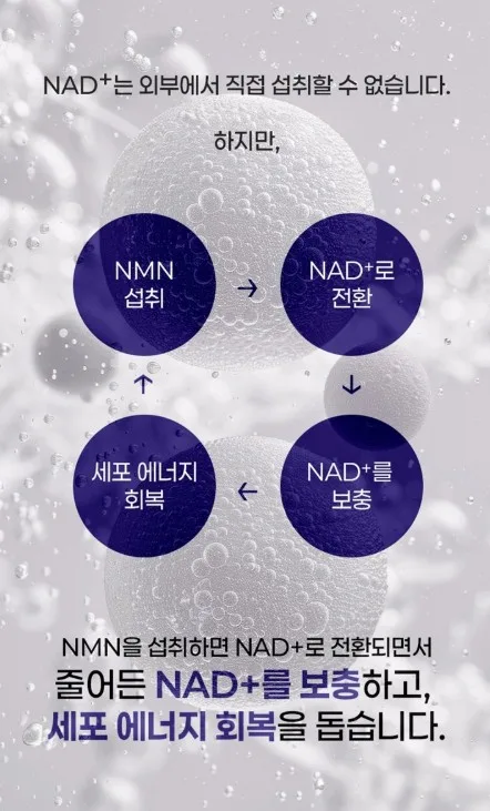 상품코드 : JYB005 예전같지 않다면, 쁘띠 엔엠엔C 이너뷰티 NMN 2gx10포