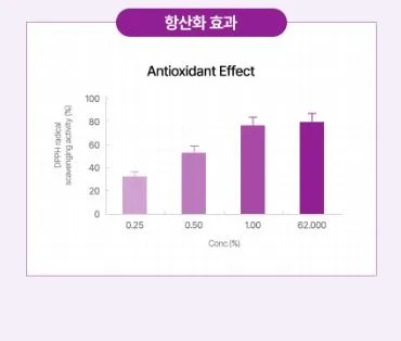 [코리아나] 한방미인 화영지 6종세트