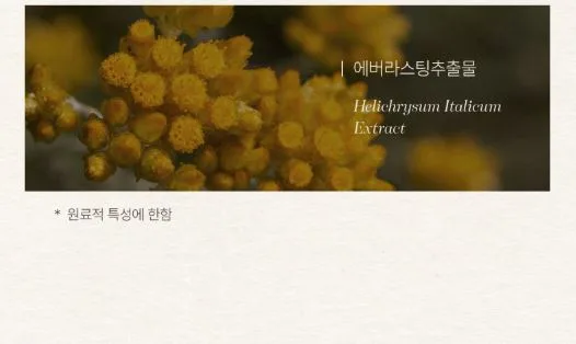 폴메디슨 시그니처 퍼퓸 핸드크림 70ml