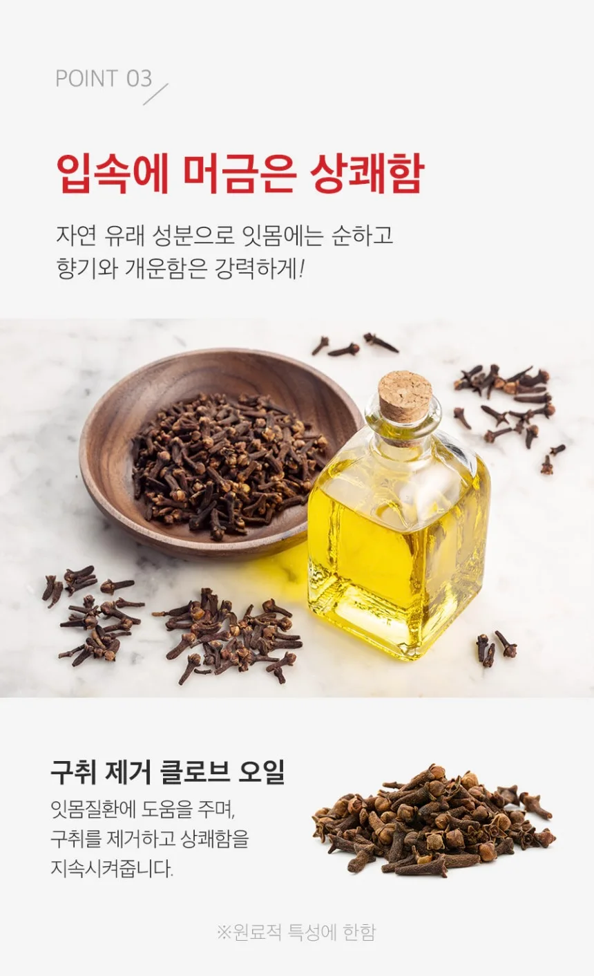 메디필덴틸잇몸치약(100g)