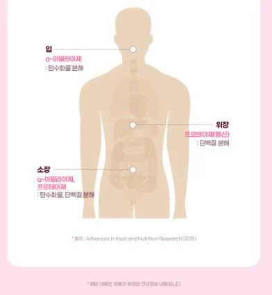 비욘드오리진 리얼골드 파로효소 3g 30포