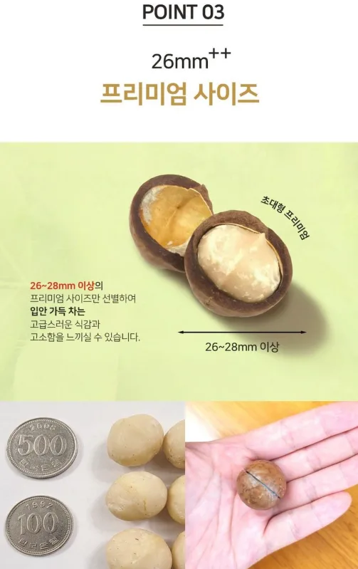 호주산 골든 마카다미아 명품 선물세트 (125gx3입)