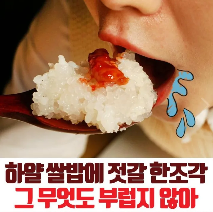 상품코드 : FD009 젓갈담는마을 특제양념 오징어젓갈 500g