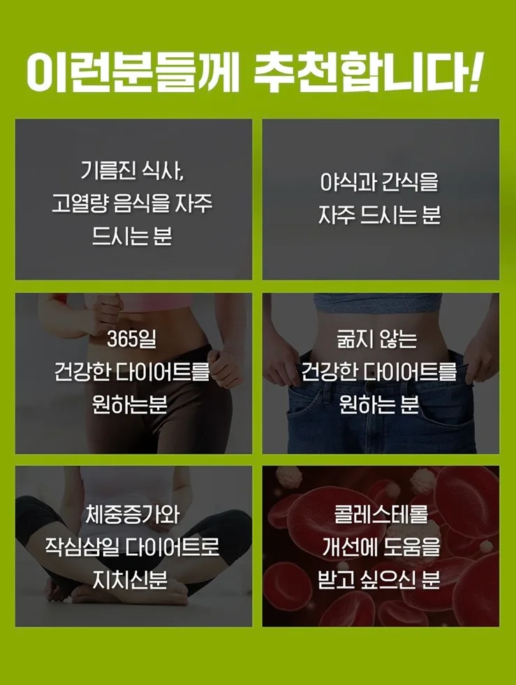 카테킨 정 플러스 1100mgX28정