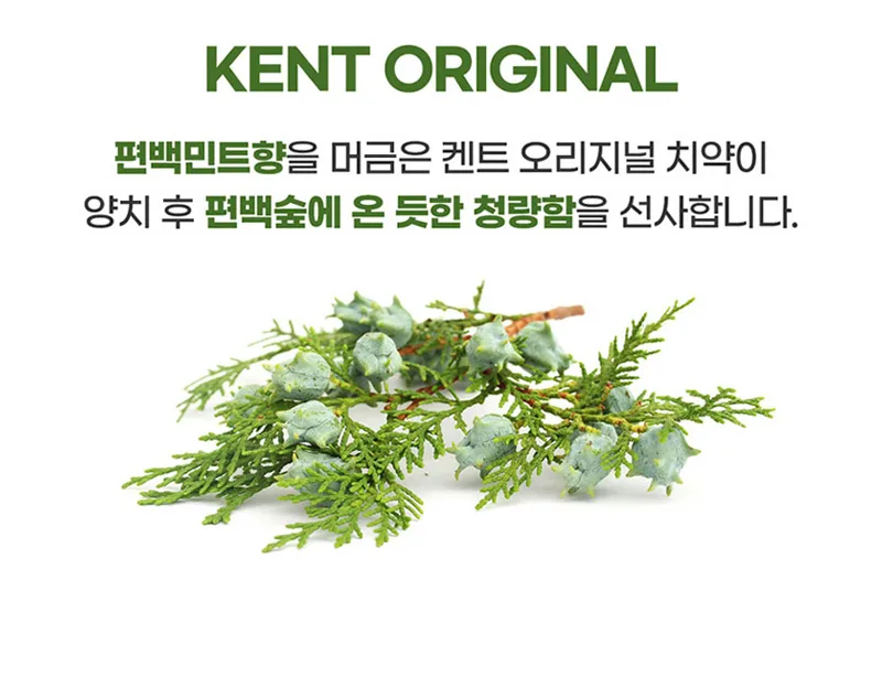 상품코드 : WC025 켄트 치약2개+여행용키트(치약2+칫솔)