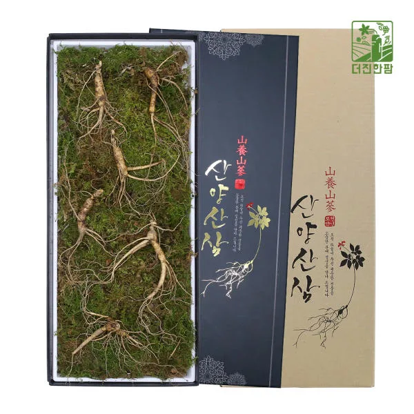 [더진한팜] 기운내삼 10년근 산양산삼 6뿌리