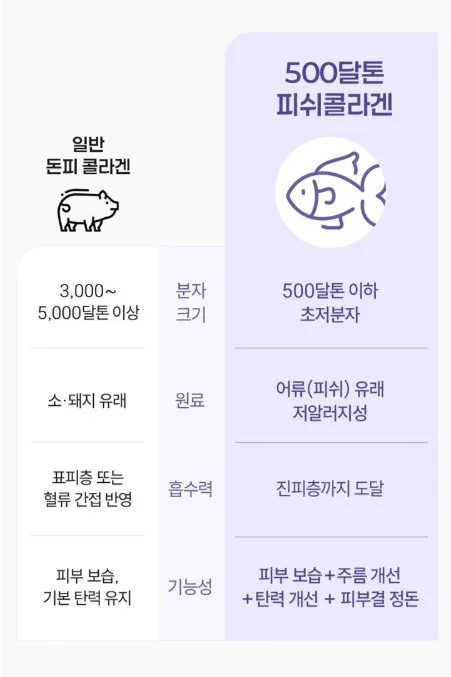 상품코드 : JYB005 예전같지 않다면, 쁘띠 엔엠엔C 이너뷰티 NMN 2gx10포