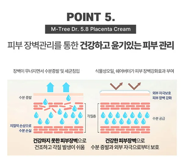 상품코드 : GLB149 엠트리 양 태반 크림 50g