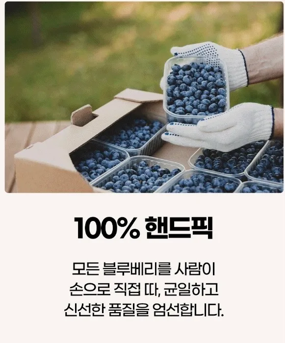 시너지엔 블루베리 퓨레 100