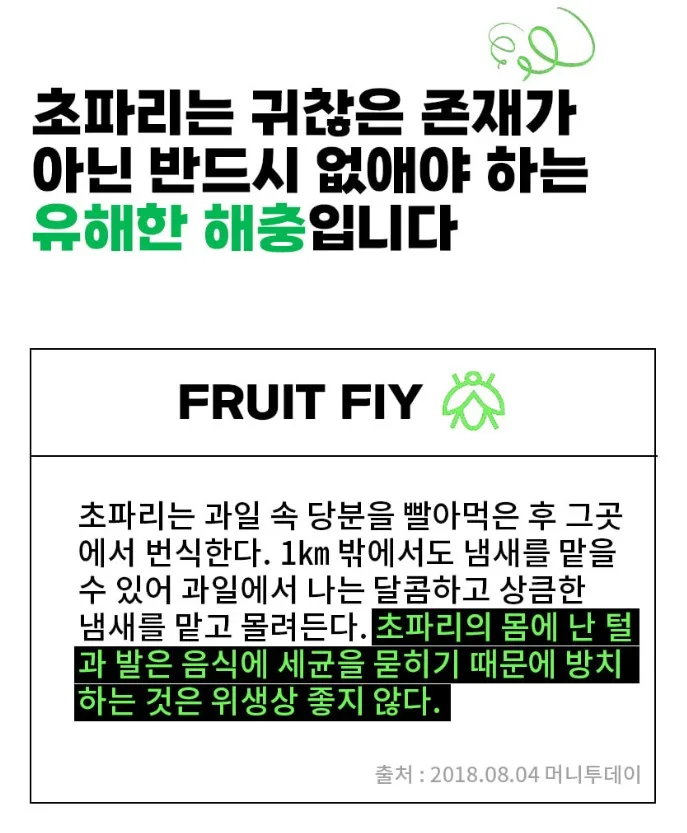 벌레잘가 버그엑스 이중 초파리트랩