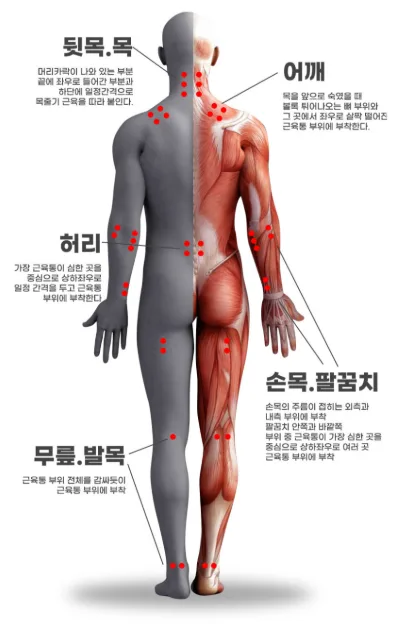 (파우치형) 통증타파 쾌유패치 동전형 120매