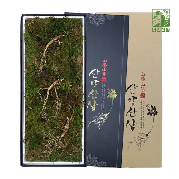 [더진한팜] 기운내삼 8-9년근 산양산삼 3뿌리