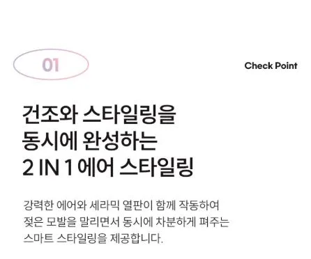 AUTONIT 오토닛 2IN1 프리미엄 BLDC 에어스트레이트너 BY-8501