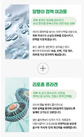 펠로디 리포좀 콜라겐 달팽이 수분 크림 300MG