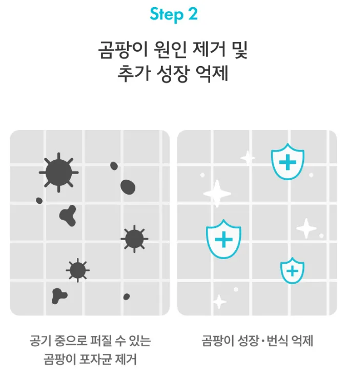 청소연구소 청소전문 곰팡이 제거제 400ml