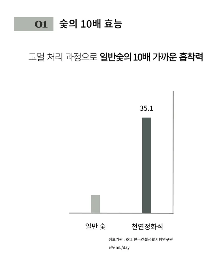 온다숲 반영구 숯10배 냉장고탈취제 300g