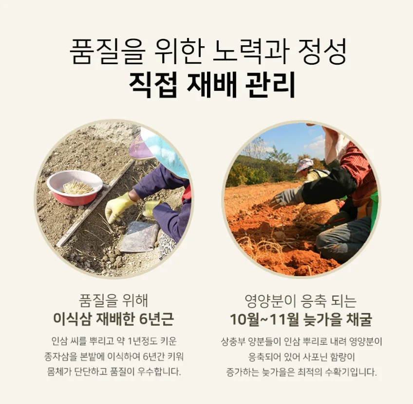 상품코드 : KJH008 [김정환 홍삼] 홍삼으로 에너지타임 30포 (쇼핑백)