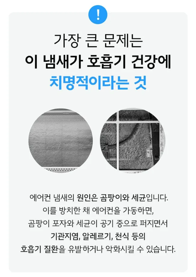 다목적 에어컨 탈취제 피톤치드향 300ML