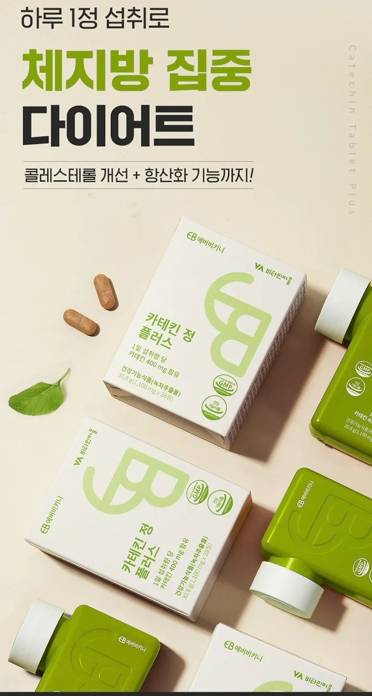 카테킨 정 플러스 1100mgX28정