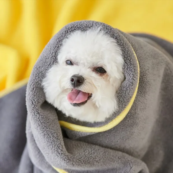 [비타그램] 반려생각 조이 타월 : 옵션선택