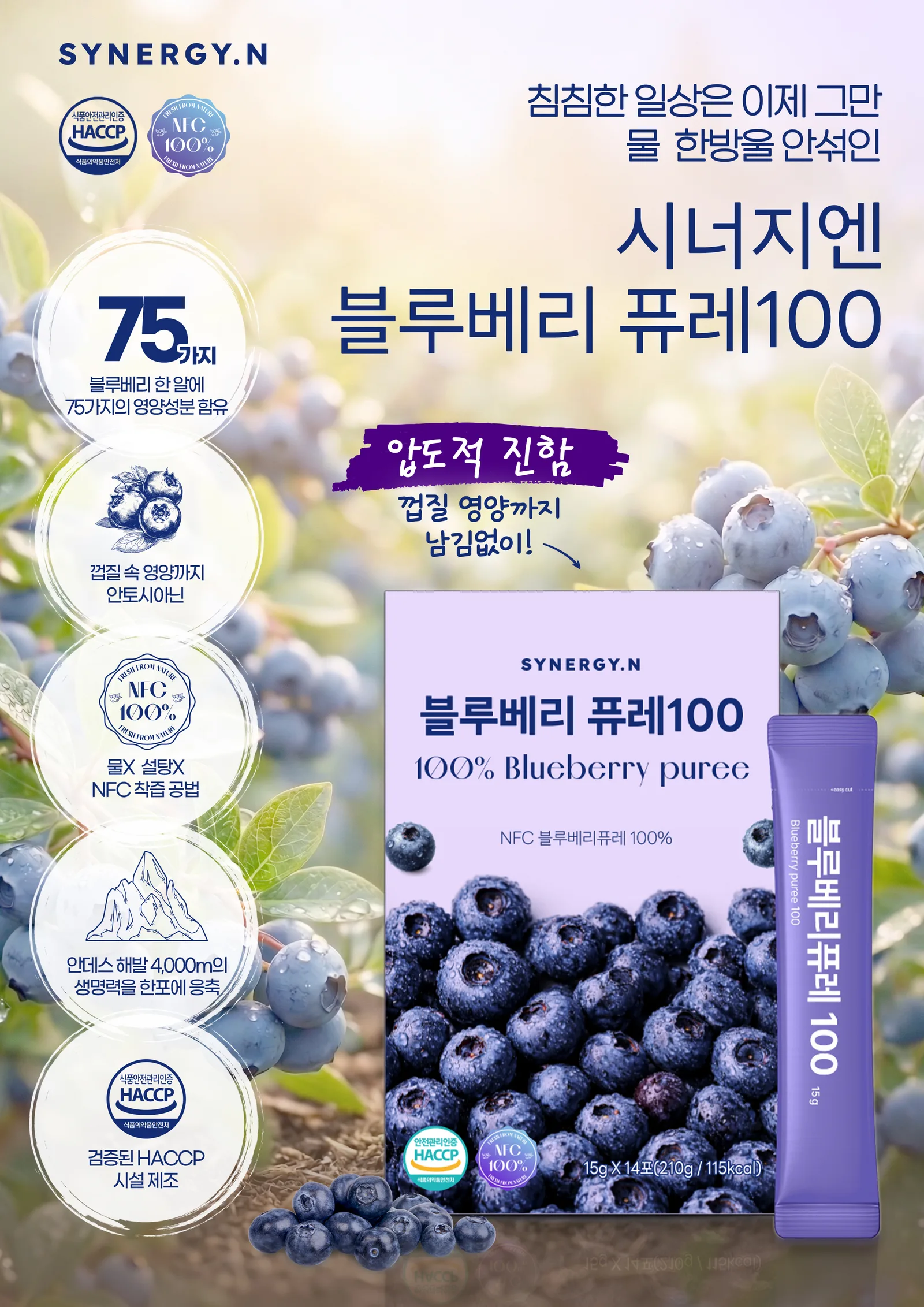 시너지엔 블루베리 퓨레 100