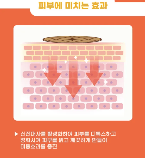 (파우치형) 통증타파 쾌유패치 동전형 120매