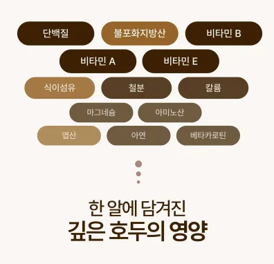 상품코드 : ER029 호두포유
