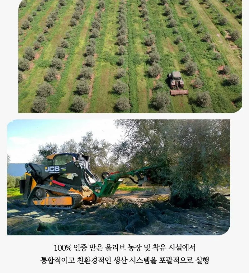 상품코드 : UB049 [포스티보나] 프리미엄 올리브유 500ml 1P