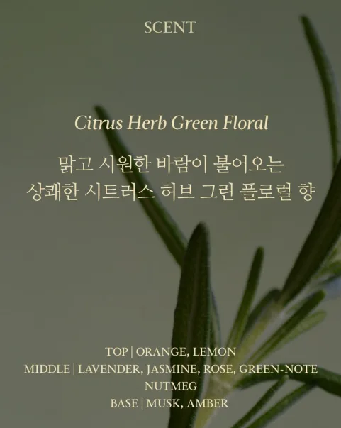상품코드 : K629 어성초 40 약산성 모이스처 바디워시 (카톤발주용)