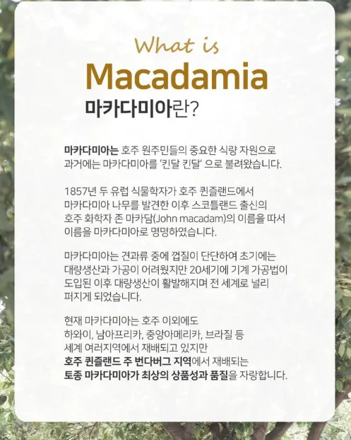 호주산 골든 마카다미아 명품 선물세트 (125gx3입)