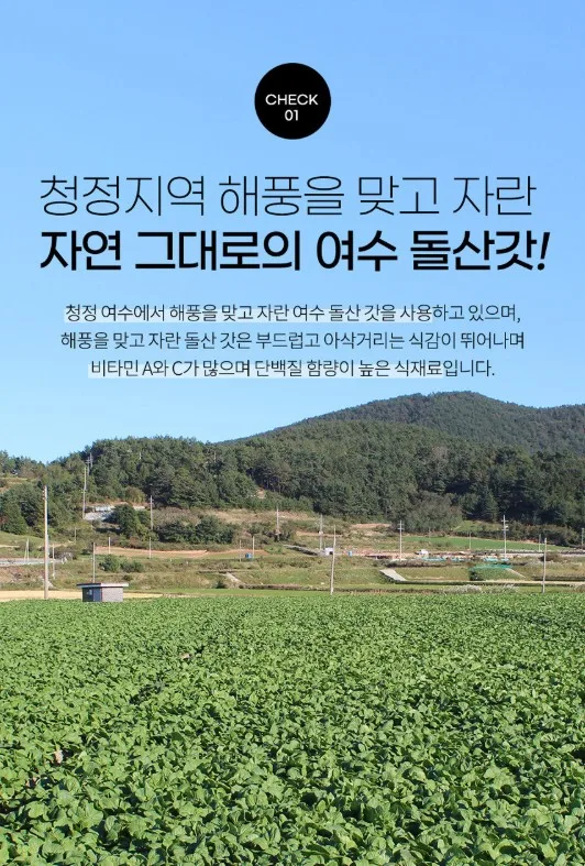 상품코드 : DWR017 엄마 손 맛 그대로, 건강한 한끼 여수 돌산 갓 시래기 500g