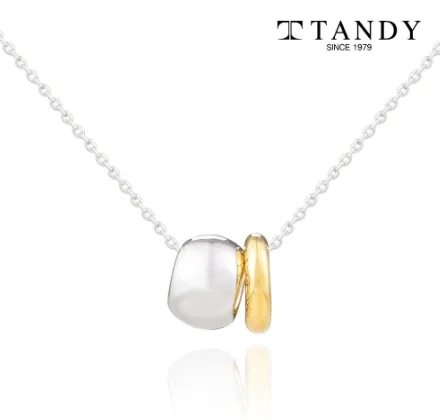 [TANDY] 탠디 듀얼 콤비 펜던트 목걸이 (TDN601B)