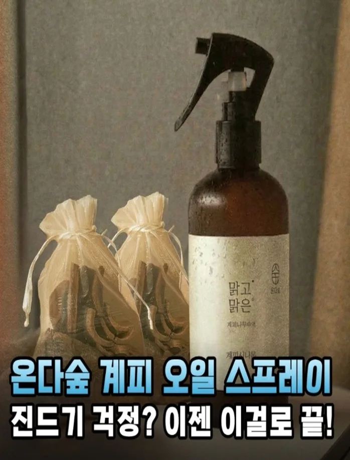 온다숲 계피스프레이 탈취제 250ml