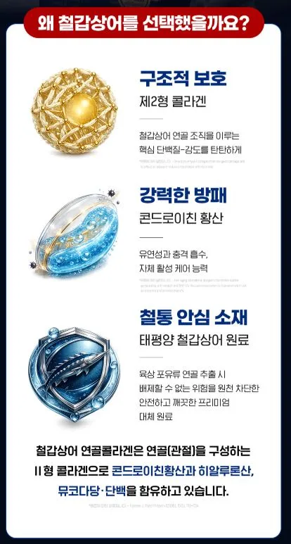 철갑상어 콘드로이친 1200 플러스 MBP 1,000mgX60정