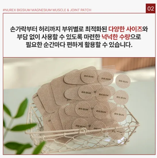 상품코드 : BSH009 빅슘 마그네슘 패치 62매