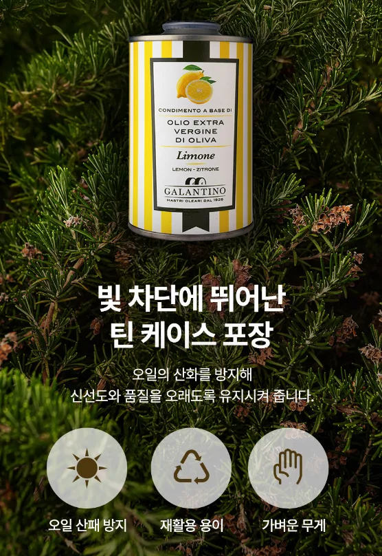 갈란티노 올리브오일 향미유 틴케이스 250ml