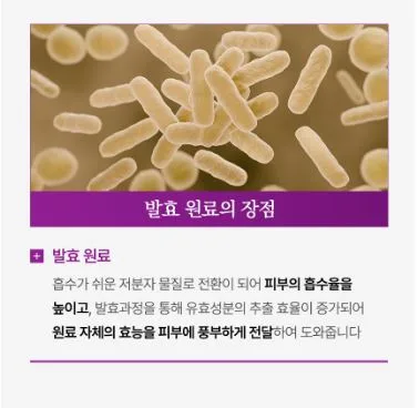 [코리아나] 한방미인 화영지 6종세트