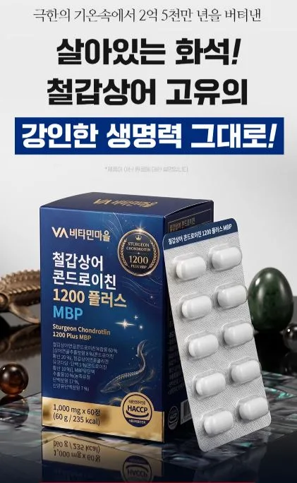 철갑상어 콘드로이친 1200 플러스 MBP 1,000mgX60정
