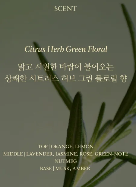상품코드 : K630 어성초 49 약산성 리페어 트리트먼트 (카톤발주용)