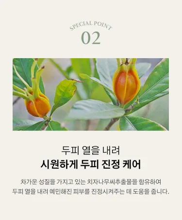 상품코드 : K628 어성초 40 약산성 딥 클렌징 두피케어 샴푸 (카톤발주용)