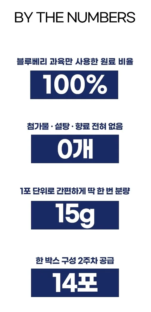 시너지엔 블루베리 퓨레 100
